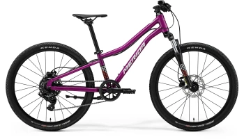 merida_mattsj24_purple