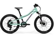 merida_mattsj20-mint