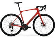 scultura_endurance_6000